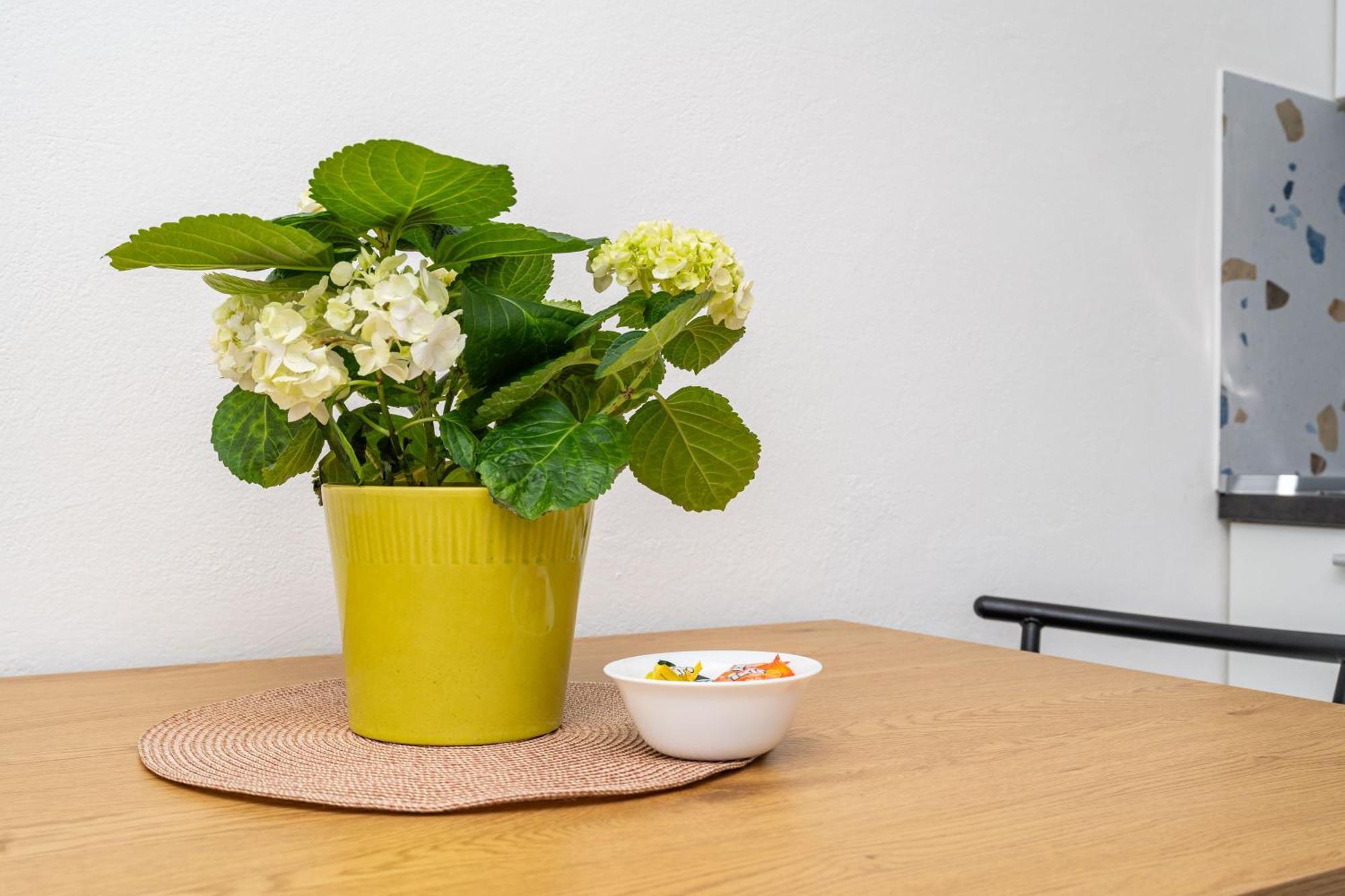 Apartment Fiorenini Mlini Dış mekan fotoğraf